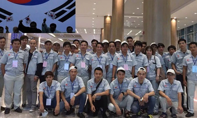 Gần 11 nghìn lao động Việt Nam đi làm việc tại Hàn Quốc theo chương trình EPS trong năm 2023