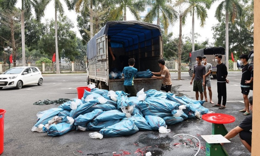 Bắt giữ hơn 3 tấn cá tầm không rõ nguồn gốc
