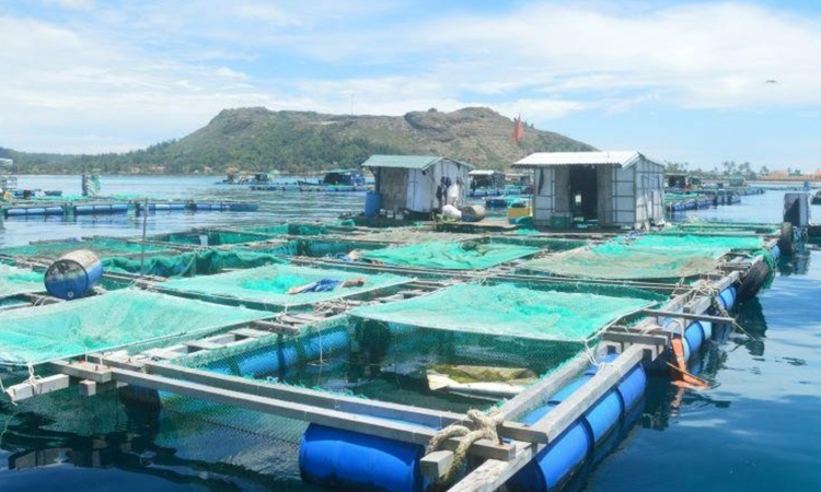 Ứng dụng công nghệ số trong nuôi trồng thủy sản