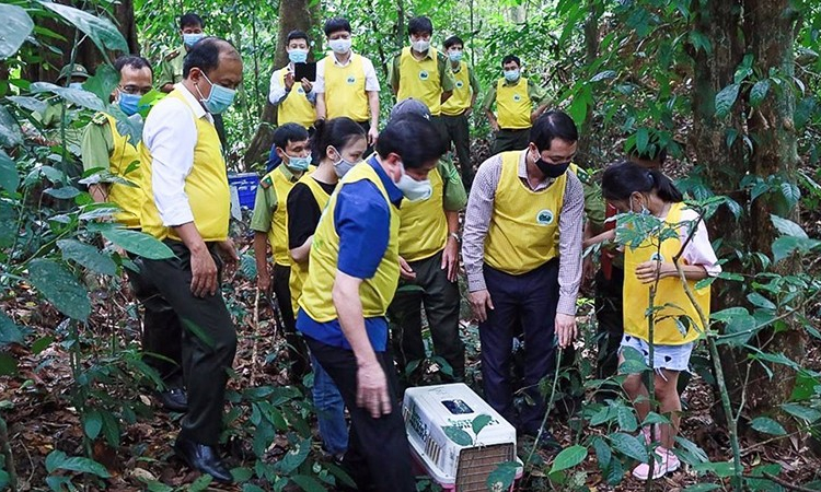 Tăng cường quản lý việc gây nuôi động vật hoang dã