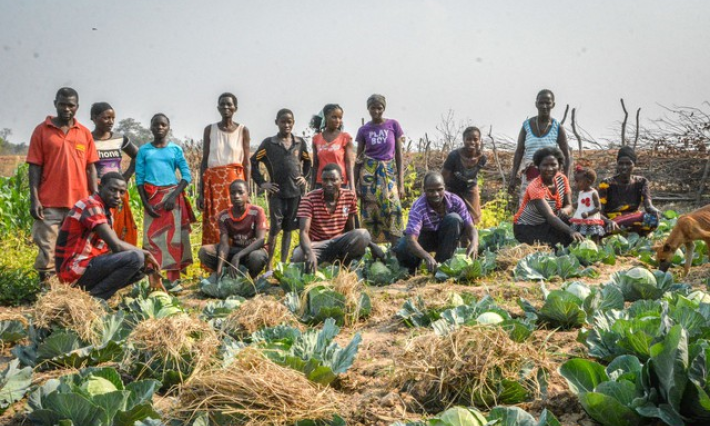 Người Zambia dấn thân làm nông nghiệp