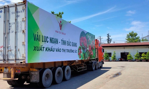 Tăng cường kết nối logistics thúc đẩy tiêu thụ, xuất khẩu nông lâm thủy sản