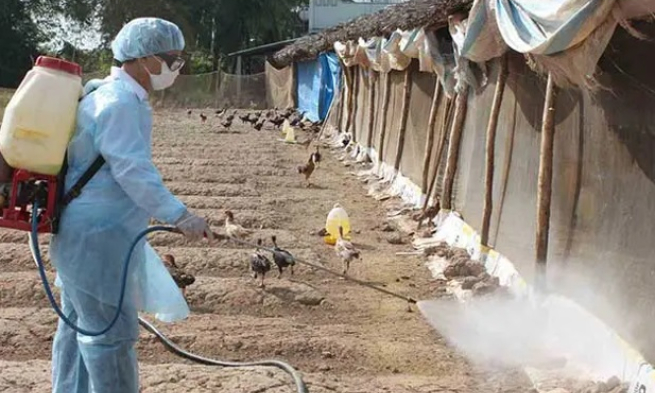 Mở chiến dịch tổng vệ sinh, tiêu độc khử trùng