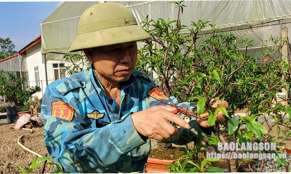Tất bật chăm sóc đào cảnh sau tết