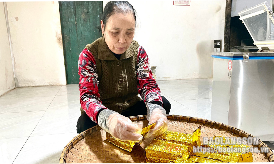 Cựu thanh niên xung phong làm giàu từ trồng chè dưới tán hồi
