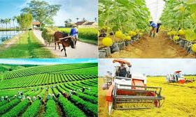 Tháo gỡ khó khăn các chương trình mục tiêu quốc gia