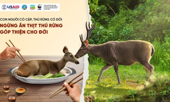 Phát động chiến dịch 'Ngừng ăn thịt thú rừng, góp thiện cho đời'