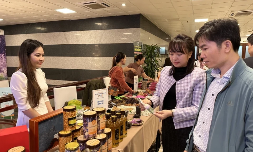 Bảo vệ người tiêu dùng: Hướng tới một nền kinh tế cạnh tranh minh bạch, hiệu quả