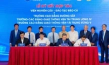 Đèo Cả “nhập cuộc” thi công hạ tầng đường sắt