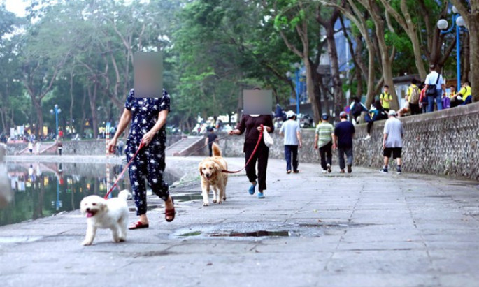 Thủ tướng Chính phủ yêu cầu tập trung thực hiện nghiêm công tác phòng, chống bệnh Dại