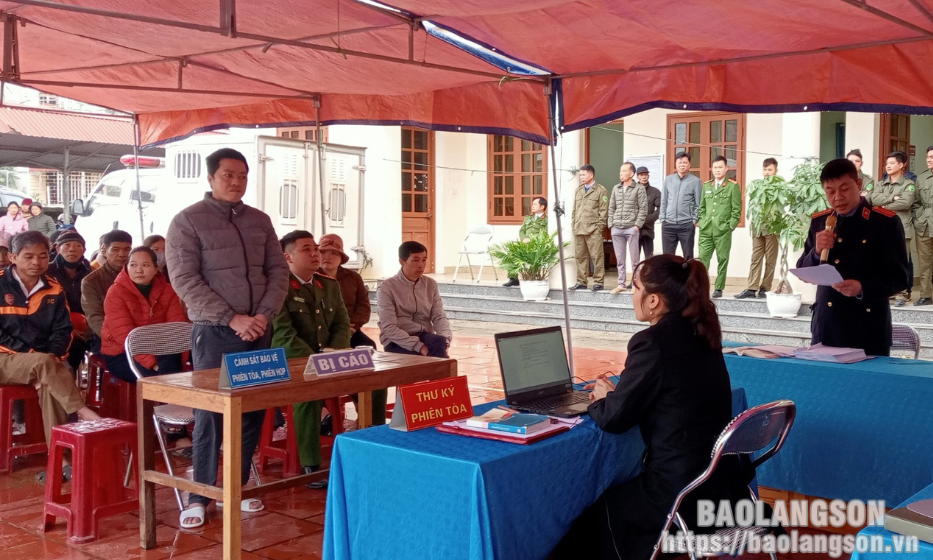 Lĩnh án tù vì tội hủy hoại rừng