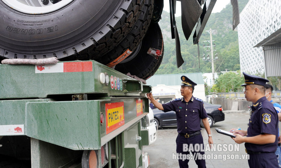 Tăng Thu thuế xuất nhập khẩu: Tích cực thu hút doanh nghiệp xuất nhập khẩu qua địa bàn