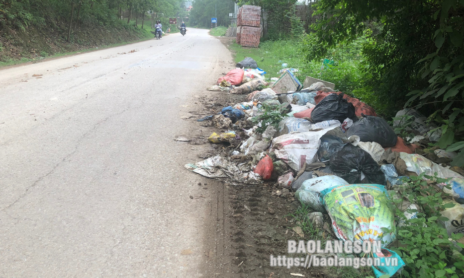 Xả rác bừa bãi ven đường tỉnh 242