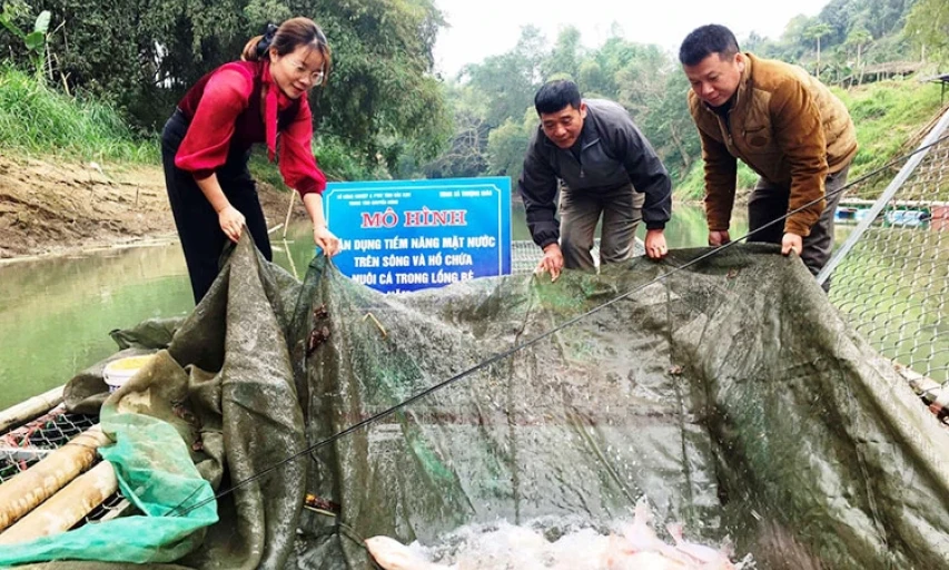 Sắp xếp xã, phường vùng miền núi Đông Bắc