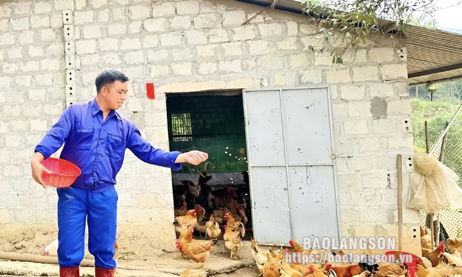 Vươn lên từ nuôi gà thả đồi