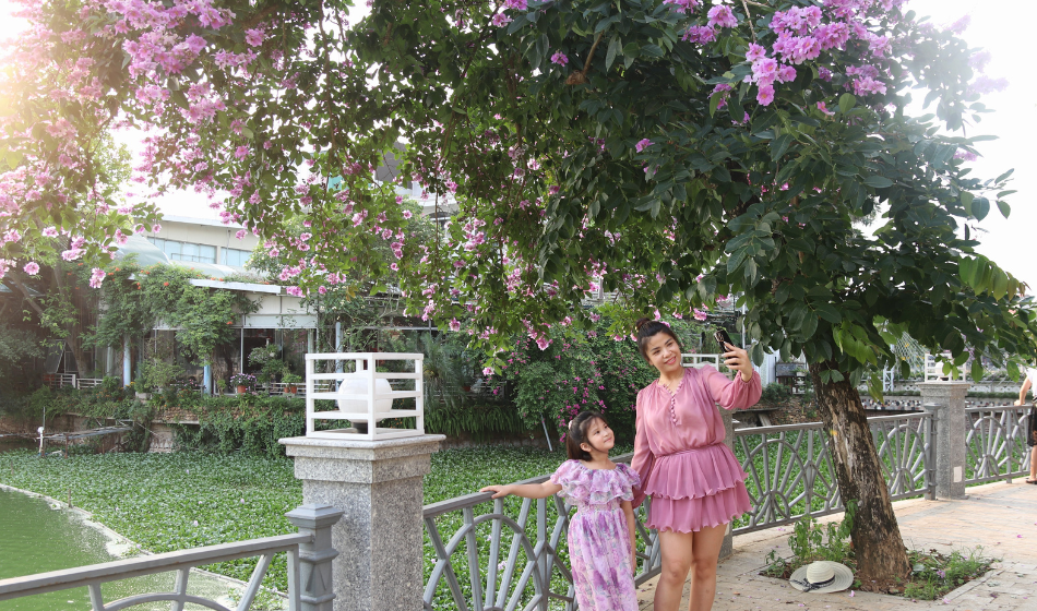 Tranh thủ cuối tuần, nhiều người dân trên địa bàn thành phố lưu lại những khoảnh khắc đáng nhớ với hoa bằng lăng tím. 