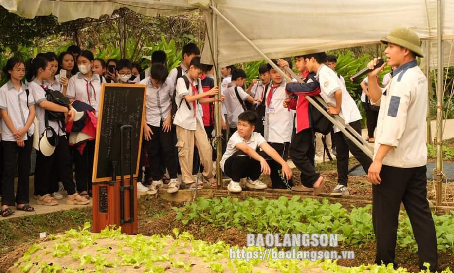 Hữu Lũng: Đồng hành cùng doanh nghiệp, hợp tác xã