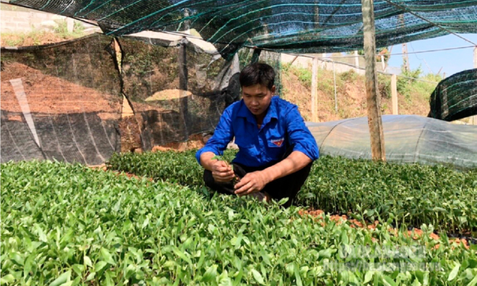 Lan tỏa khát vọng khởi nghiệp,lập nghiệp gắn với xây dựng nông thôn mới