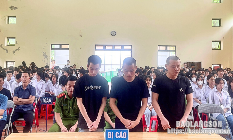 Bản án thích đáng đối với hành vi mua bán, tổ chức sử dụng trái phép chất ma túy