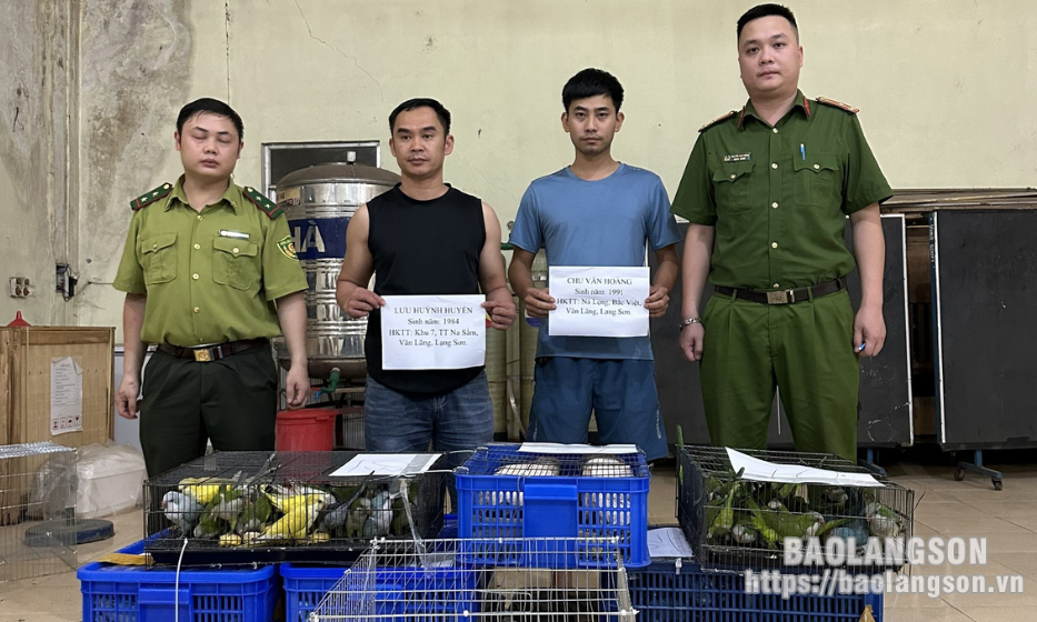 Văn Lãng: Khởi tố 2 đối tượng vi phạm quy định về bảo vệ động vật nguy cấp, quý hiếm