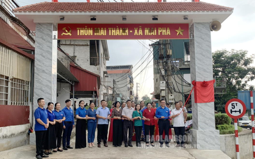 Thành đoàn: Khánh thành công trình cổng thôn chào mừng đại hội hội liên hiệp thanh niên Việt Nam các