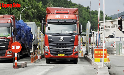 Lạng Sơn: Tạo điều kiện thuận lợi tối đa cho mặt hàng hoa quả tươi xuất khẩu