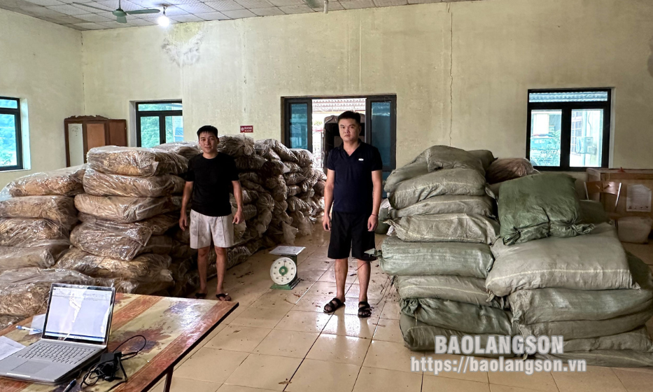 Văn Lãng: Tạm giữ hơn 5 tấn thuốc lá sấy khô không rõ nguồn gốc xuất xứ