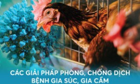 Các biện pháp phòng, chống dịch bệnh gia súc, gia cầm