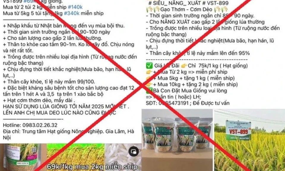 Lừa bán giống lúa không có thật, chiếm đoạt 7,8 tỷ đồng