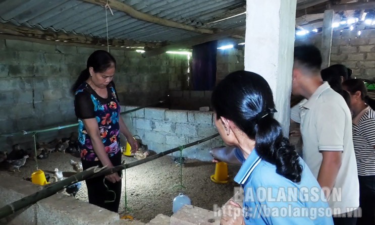 Lộc Bình chú trọng đào tạo nghề cho lao động nông thôn
