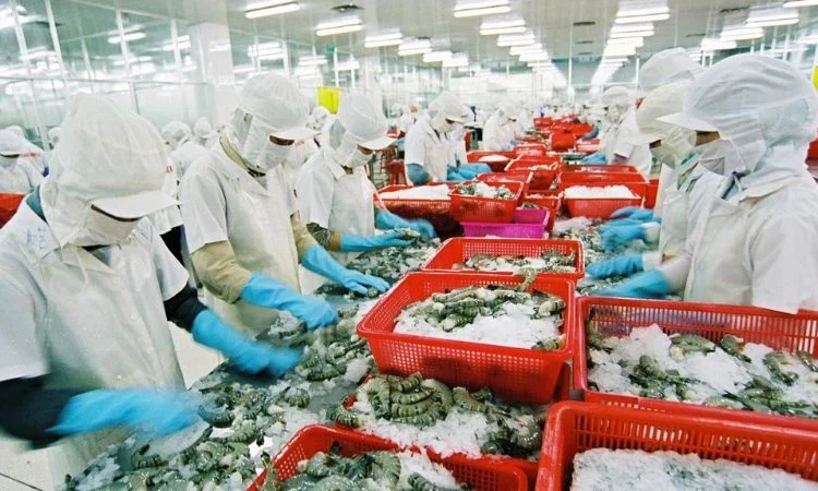 Cước tàu biển tiếp tục tăng cao, khó chồng khó với doanh nghiệp xuất nhập khẩu
