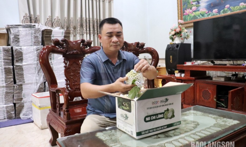 Hợp tác xã Dịch vụ và Sản xuất nông nghiệp Đồng Mỏ: Chú trọng áp dụng kỹ thuật để nâng cao chất lượng