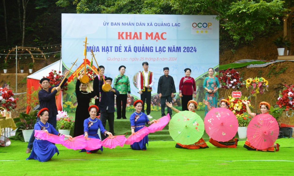 Khai mạc mùa hạt dẻ xã Quảng Lạc năm 2024