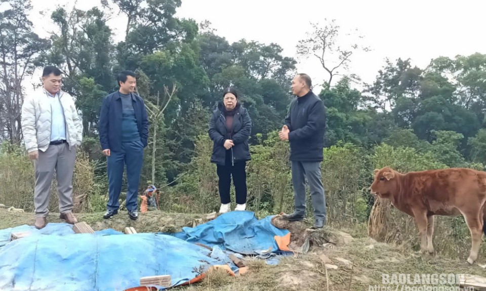 Ủy ban MTTQ tỉnh giám sát việc thực hiện Dự án 1 thuộc Chương trình mục tiêu quốc gia phát triển kinh