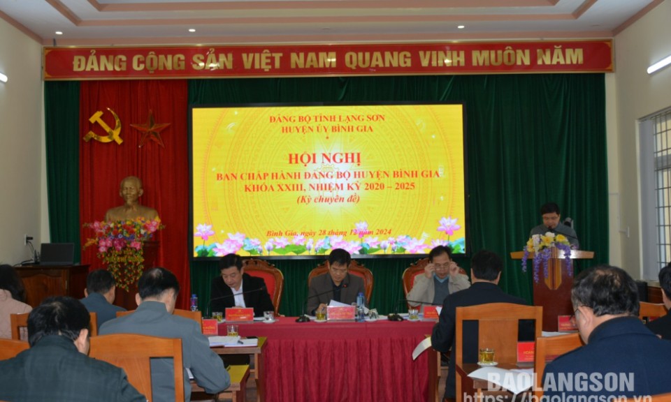 hội nghị kỳ chuyên đề thông qua các đề án về sắp xếp tổ chức bộ máy, đánh giá các mặt công tác đảng năm