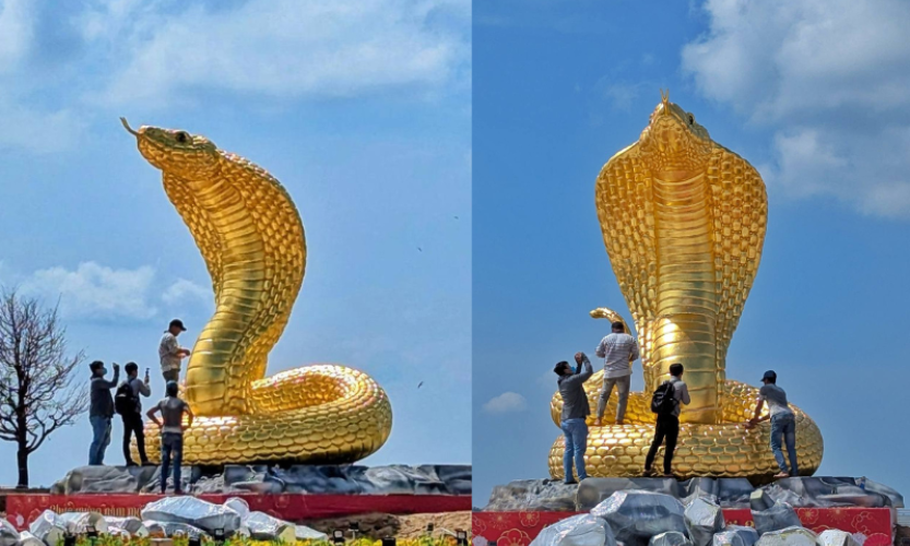 Những 'bé Na' đang hot nhất cuộc đua linh vật rắn Tết Ất Tỵ 2025