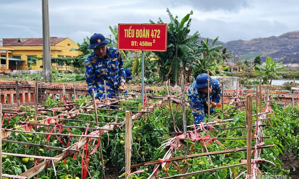 Sẵn sàng cho mùa huấn luyện chiến sĩ mới