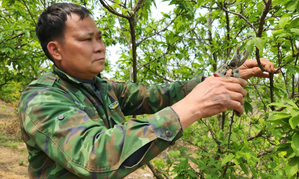 Gương sáng nông dân làm kinh tế giỏi