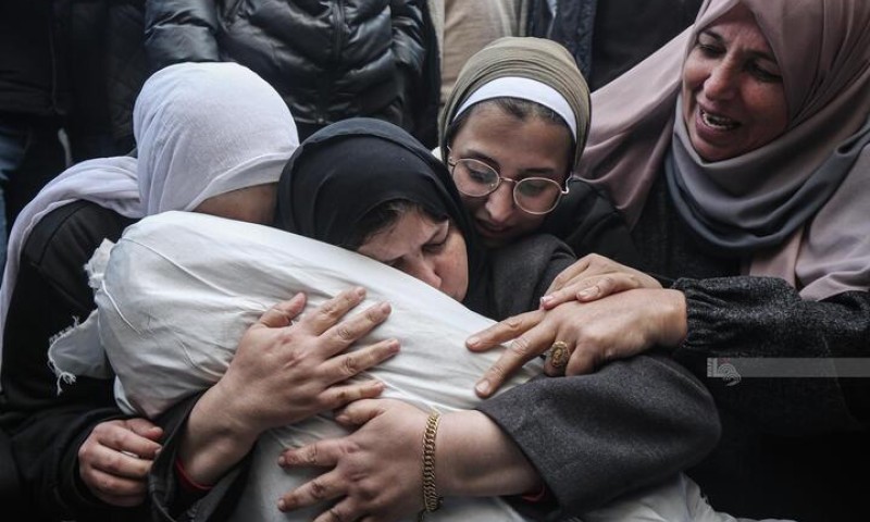 Hơn 50.000 người chết trong xung đột Hamas-Israel
