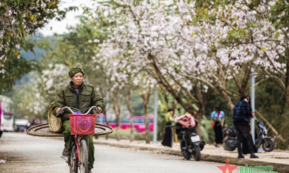 Thời tiết hôm nay (25-3): Miền Bắc nắng nóng trước khi chuyển lạnh, cao nhất 32 độ C