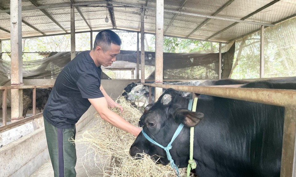 Quyết Thắng: Phát triển đa dạng mô hình  sản xuất nông nghiệp hiệu quả