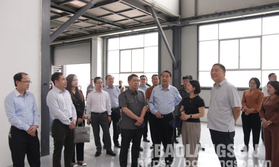 Lãnh đạo UBND tỉnh kiểm tra dự án đầu tư xây dựng tại các huyện Tràng Định, Văn Lãng, Cao Lộc và thành