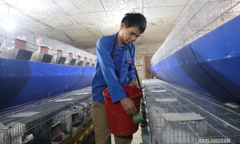 Vốn chính sách tiếp sức cho thanh niên vươn lên phát triển kinh tế