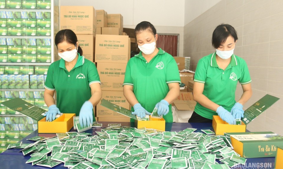 Hữu Lũng Gắn phát triển sản phẩm OCOP với xây dựng nông thôn mới