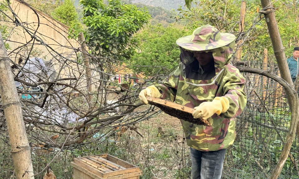 Đưa sản phẩm mật ong Bắc Việt "vươn xa"