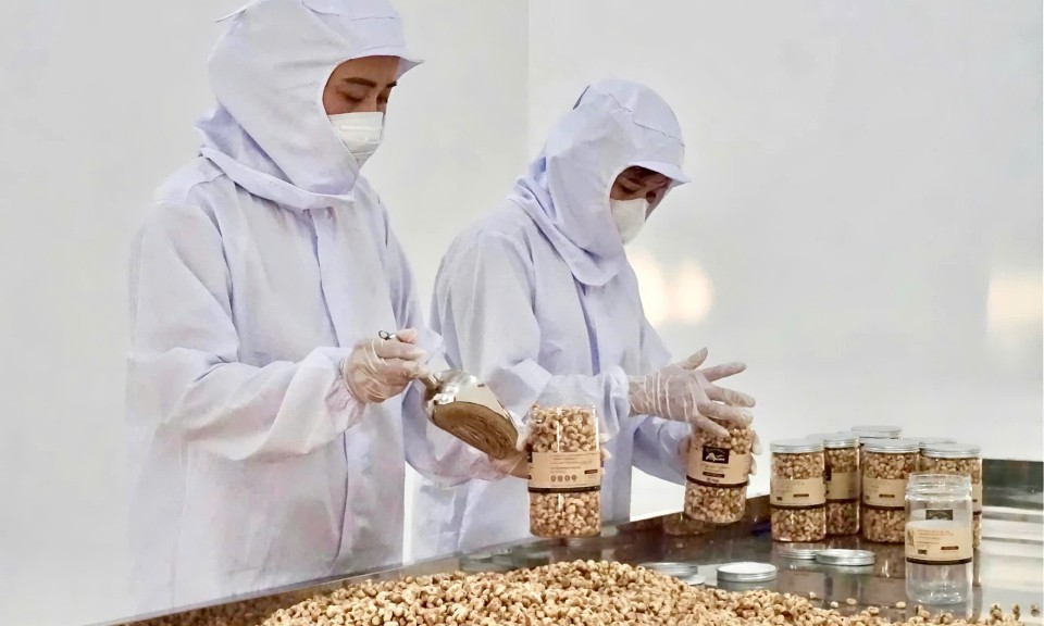 Hợp tác xã Vietnam Napro: Liên kết sản xuất, đa dạng hóa sản phẩm