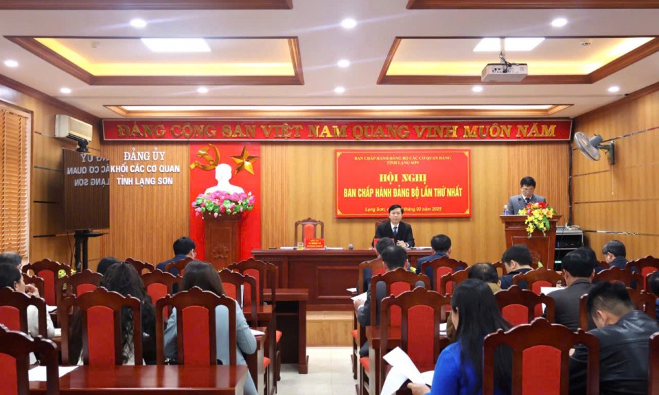 Tập trung kiện toàn tổ chức đảng đồng bộ với việc sắp xếp tổ chức bộ máy