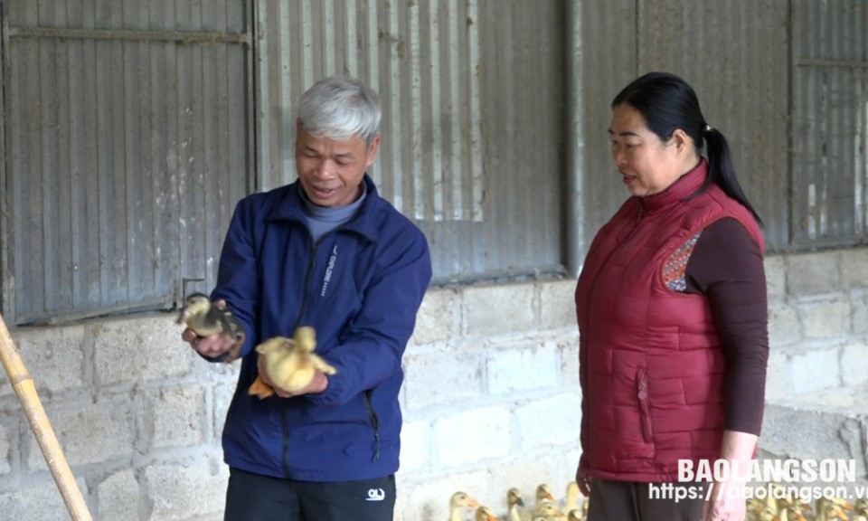 Ông Ngọ làm giàu từ mô hình kinh tế tổng hợp