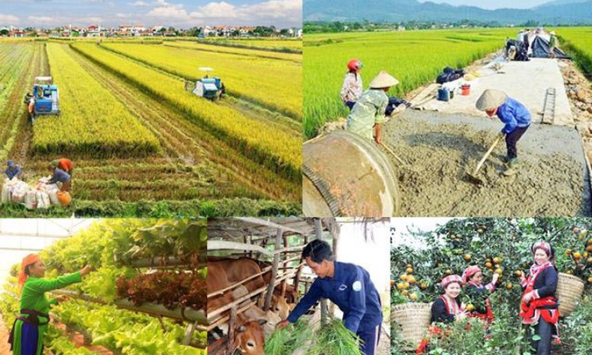 Chỉ đạo, điều hành của Chính phủ, Thủ tướng Chính phủ ngày 04/4/2025 (2)