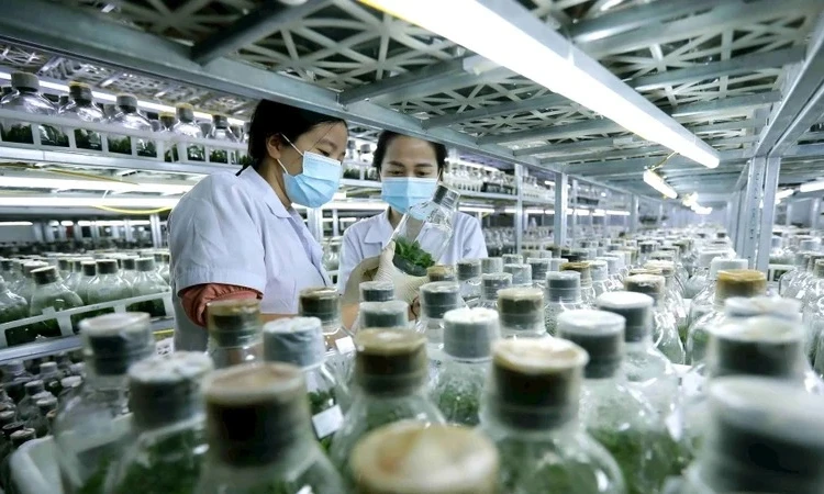 Đổi mới thủ tục hành chính để không gây khó cho các nhà khoa học